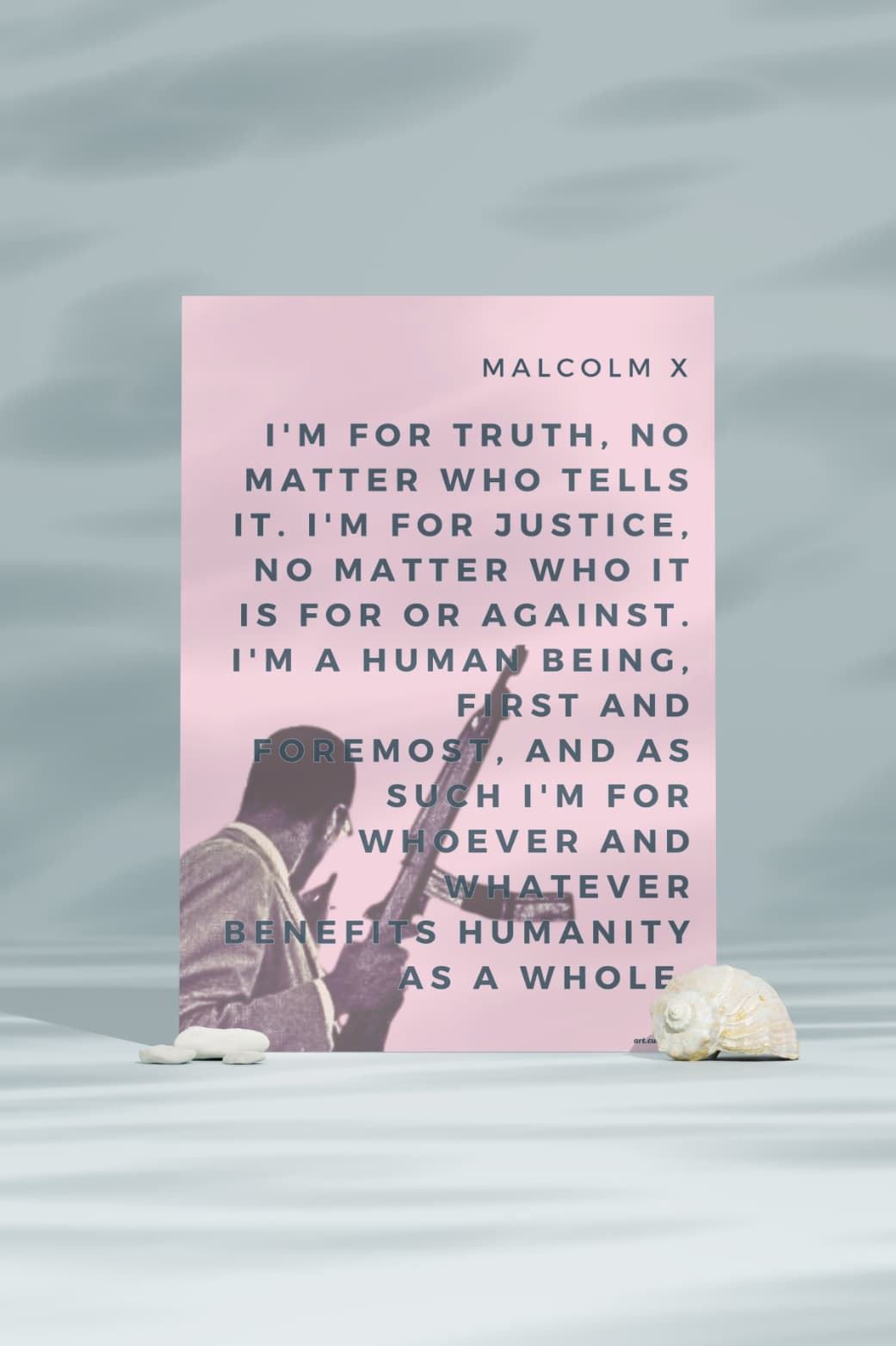 Malcolm X's: Championing Truth & Justice - Poster